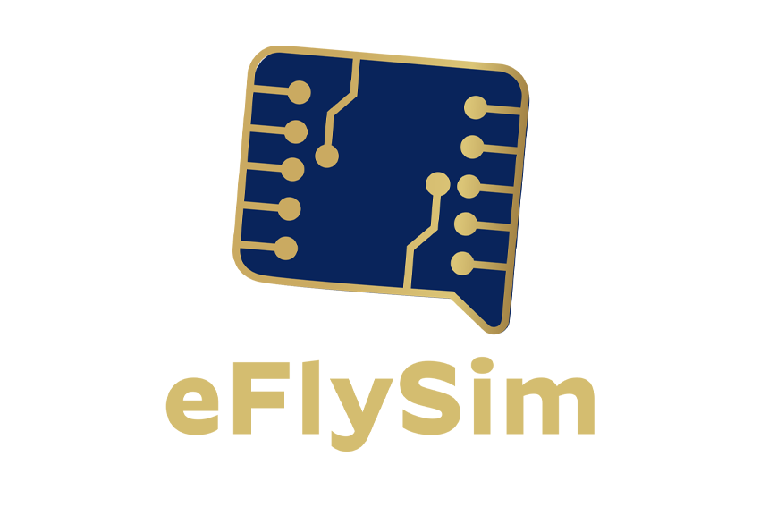 eFlySim